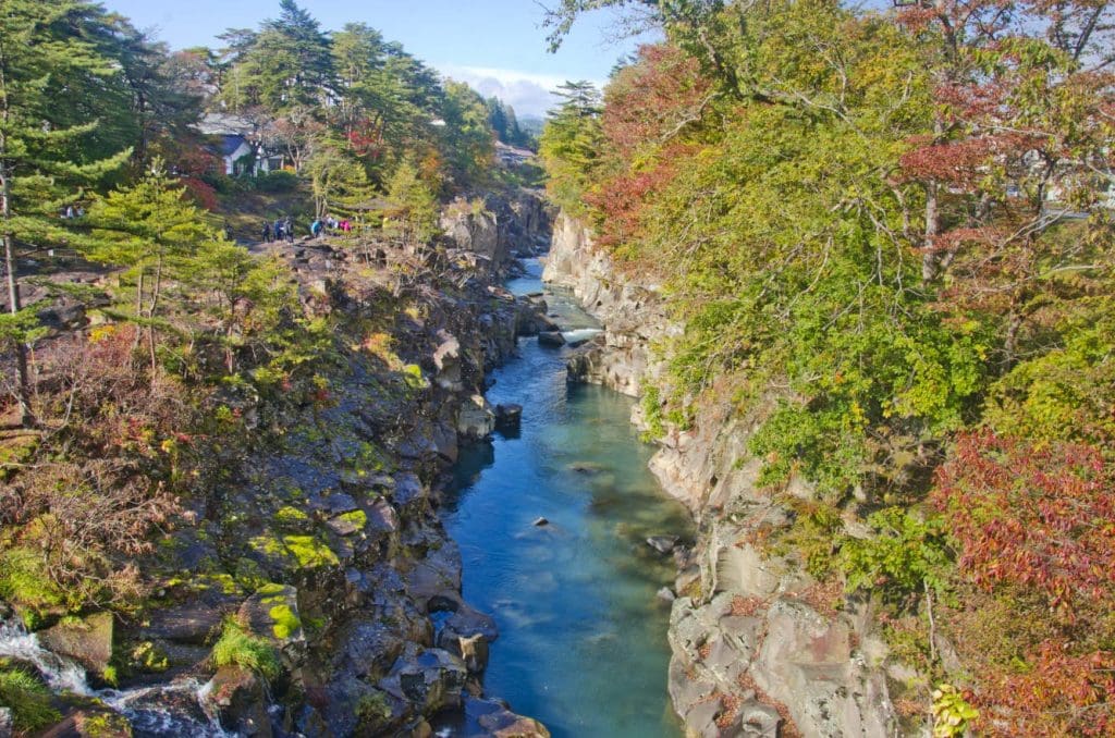 Senkin Sake Brewery – Best Sake Breweries in Japan